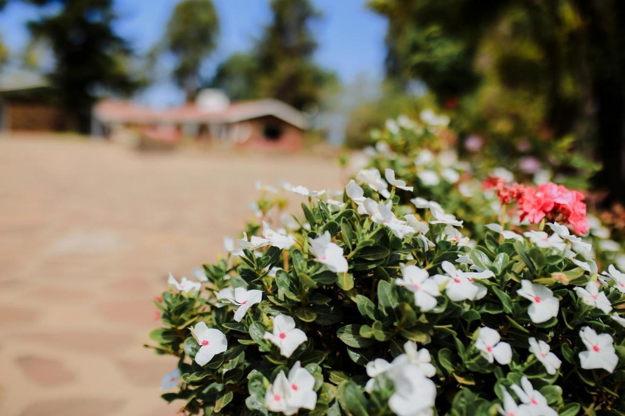 Rancho El Parral San Marcos (Baja California) Exterior foto