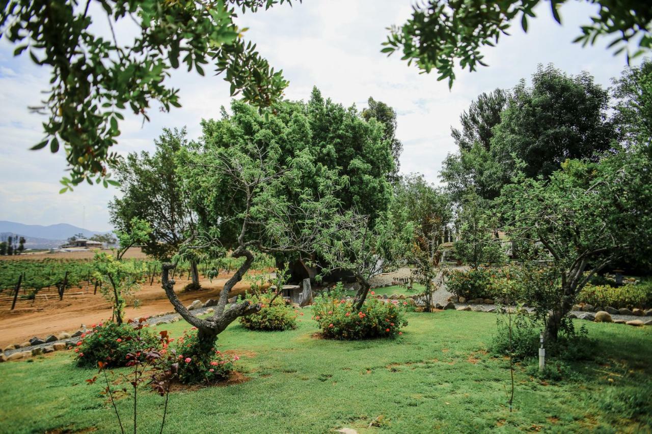 Rancho El Parral San Marcos (Baja California) Exterior foto